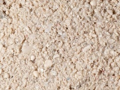Песок живой культивированный (кг.)