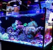 Светильник светодиодный аквариумный LED A80 Tuna Blue