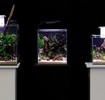 Aквариум SHRIMP SET SMART LED PLANT ll 30 белый (30 л)